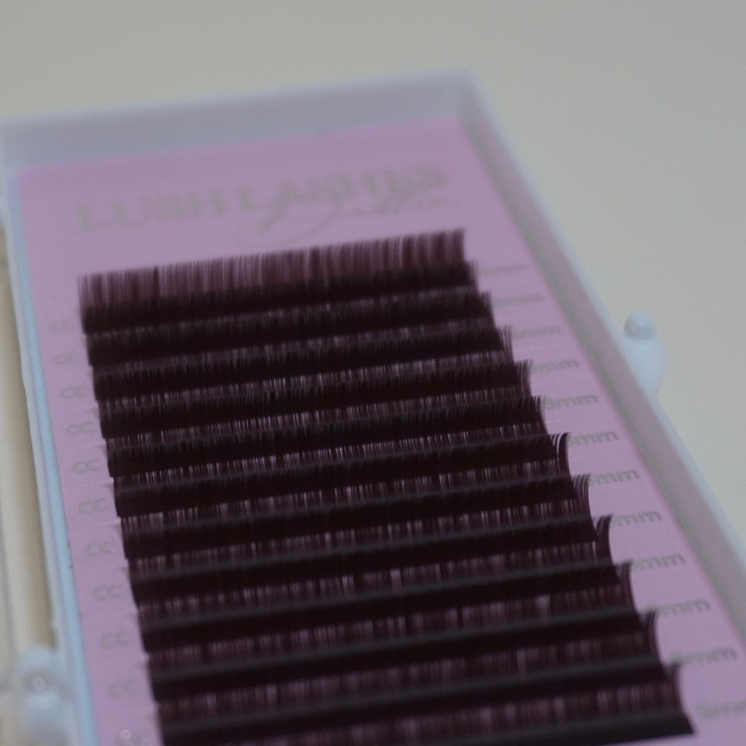 Chocolate Brown Lash Trays