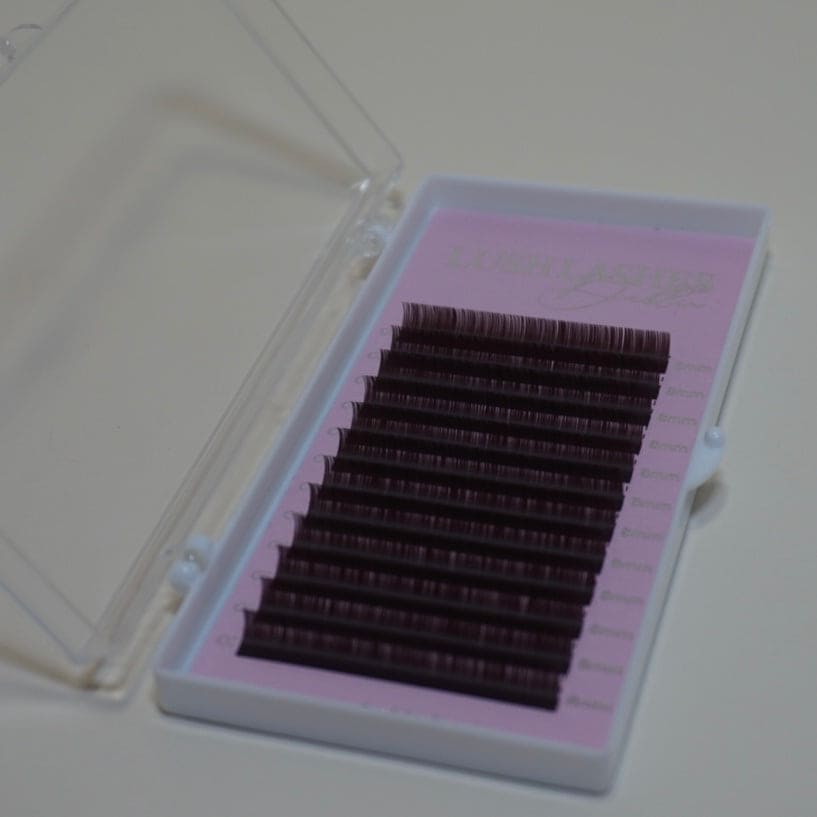 Chocolate Brown Lash Trays