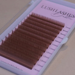 Amber Brown Lash Trays